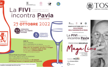 La FIVI incontra Pavia (29/10/2022)