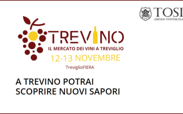Trevino 2022 (Treviglio, BG - 12-13/11/2022)